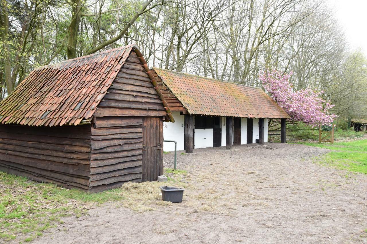 B&B Domein Rodin Oud-Turnhout Εξωτερικό φωτογραφία